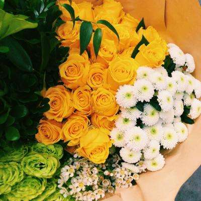 乐鱼体育app官方网站下载