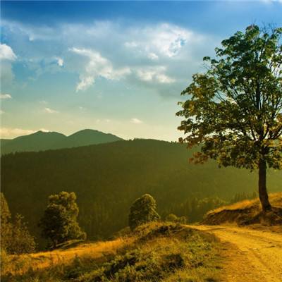 Kaiyun(云开)体育App