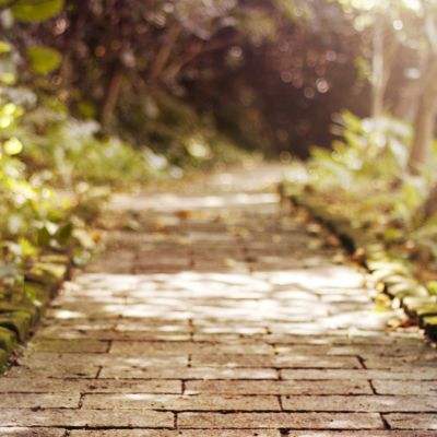 澳门威斯尼斯WNS888入口